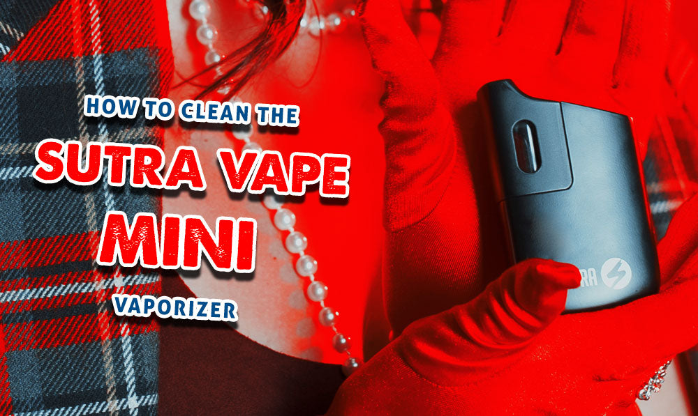 How To Clean The Sutra Vape Mini Vaporizer | Sutra Vape How To Clean The Sutra Vape Mini Vaporizer | Sutra Vape