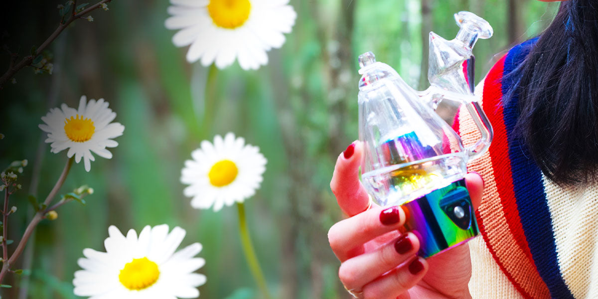 Person holding a Sutra DBR Pro with flowers in the background