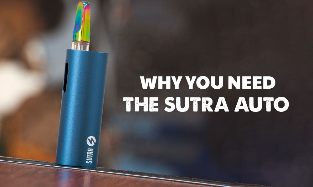 Product Spotlight: Why You Need The Sutra Auto