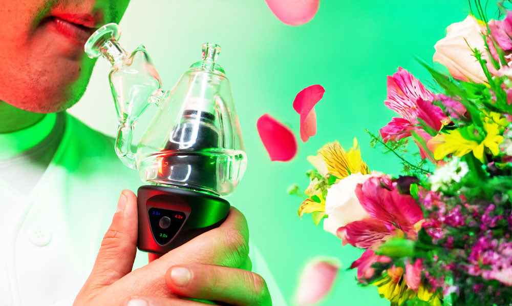 Person using a Sutra DBR Pro electronic rig beside a flower bouquet