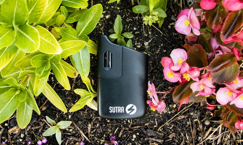 Sutra Mini on floral background