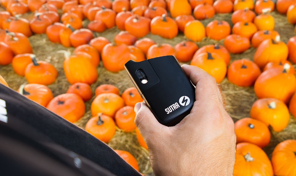 man holding Sutra Mini with pumpkins in background